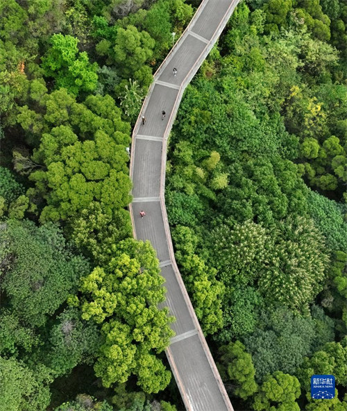 Watu wakitembea kwa miguu kwenye njia ya sehemu ya juu katika bustani ya Jinjishan mjini Fuzhou (Picha ilipigwa na droni Novemba 18).