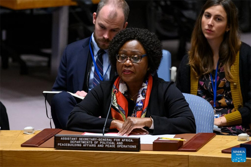 Msaidizi wa Katibu Mkuu wa Umoja wa Mataifa Martha Ama Akyaa Pobee (mbele) akitoa maelezo kwa mkutano wa Baraza la Usalama la Umoja wa Mataifa kwenye makao makuu ya Umoja wa Mataifa mjini New York, Novemba 22, 2022. "Mtazamo wa jumla na wa muda mrefu" unahitajika ili kushughulikia sababu za msingi na hivyo basi kuondoa kikamilifu tishio la uharamia na ujambazi wa kutumia silaha baharini katika Ghuba ya Guinea, afisa huyo wa Umoja wa Mataifa amesema Jumanne. (Loey Felipe/Picha ya UN/Kutumwa Xinhua)