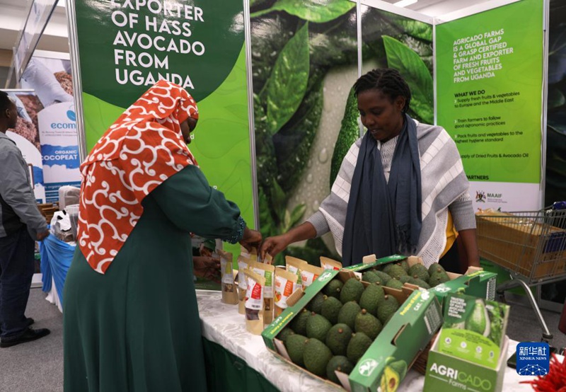 Kenya yafanya mkutano wa pili wa kimataifa kuhusu?maparachichi kwa ajili ya kupanua soko la China