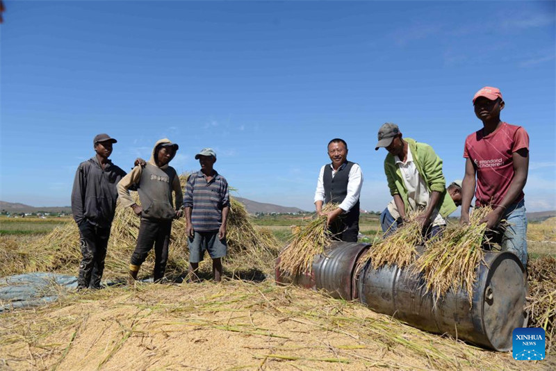 Wataalamu wa mchele chotara kutoka?China waisaidia Madagascar kufikia usalama wa chakula