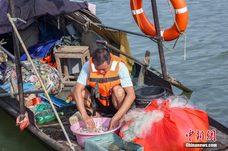 Tamasha la Uvuvi kwenye?Mto Fuchun la Hangzhou lafanyika huko Hangzhou, China na uvuzi wa samaki?waanza tena baada ya kupigwa marufuku kwa miezi minne