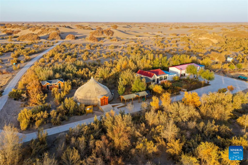 Habari?ya picha ya wanandoa wapanda msitu katika Mkoa wa Mongolia ya Ndani, China