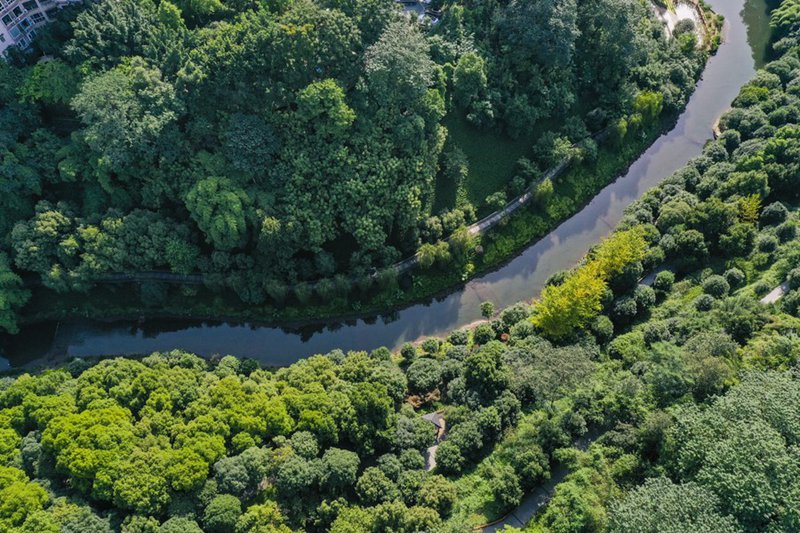 Katika Picha: Urejeshaji wa mazingira ya asili ya Mto Panxi wazaa matunda katika Mji wa Chongqing, China
