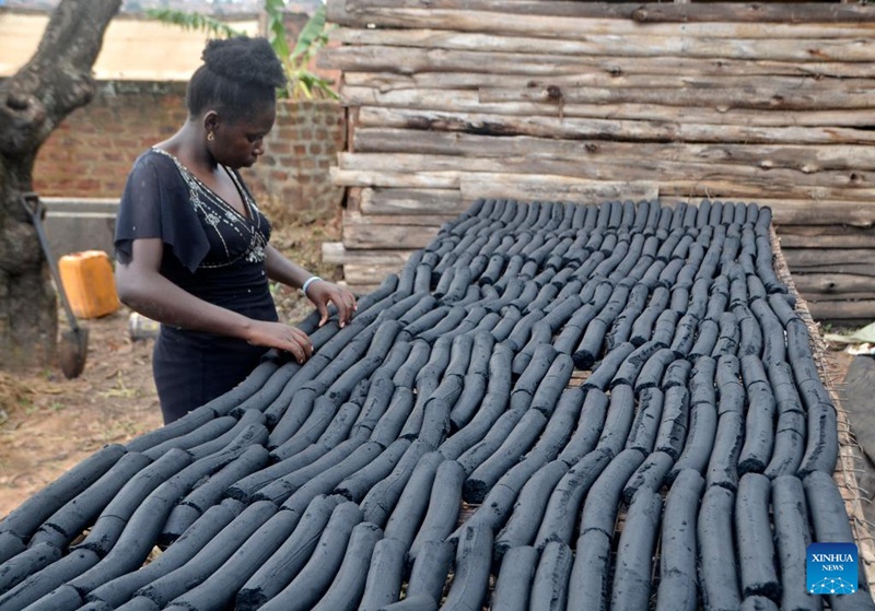 Wanawake wa Uganda wageuza taka za kilimo kuwa nishati ya baiolojia ili kuokoa miti