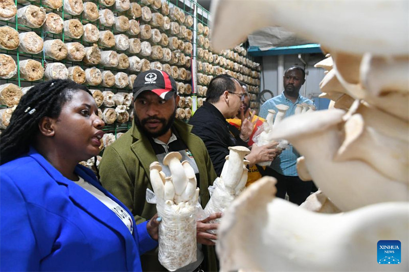 Wanandoa wa Rwanda waendelea na masomo?ya teknolojia ya Juncao katika Mkoa wa Fujian, China