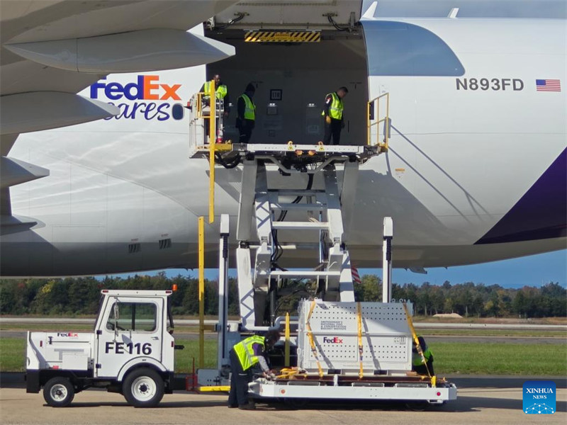 Kreti maalum linalobeba panda mmoja likishushwa kwenye Uwanja wa Ndege wa Kimataifa wa Dulles karibu na Washington, D.C., Marekani, Oktoba 15, 2024. (Picha na Yang Shuang/Xinhua)