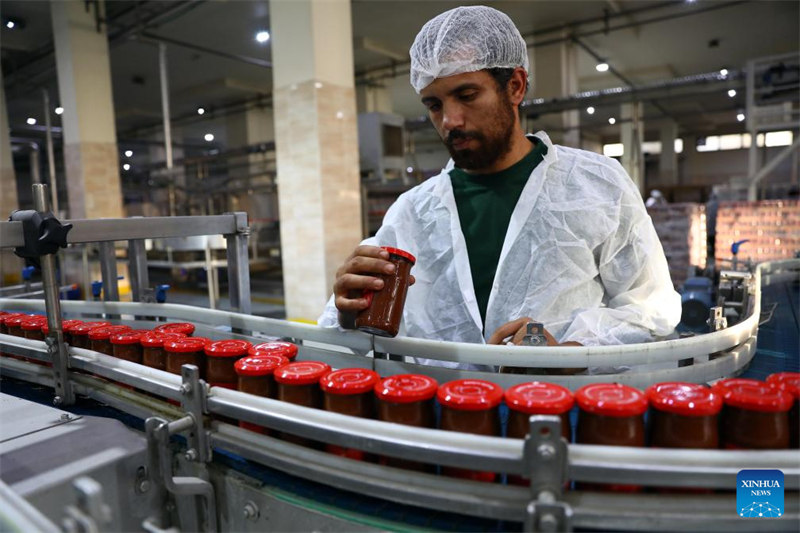 Kampuni za Misri zajiandaa Maonyesho ya 7 ya CIIE?ya China zikiangalia soko kubwa