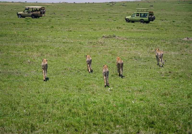 Kenya inatumai kuimarisha?mawasiliano na China katika sekta za utalii na utamaduni