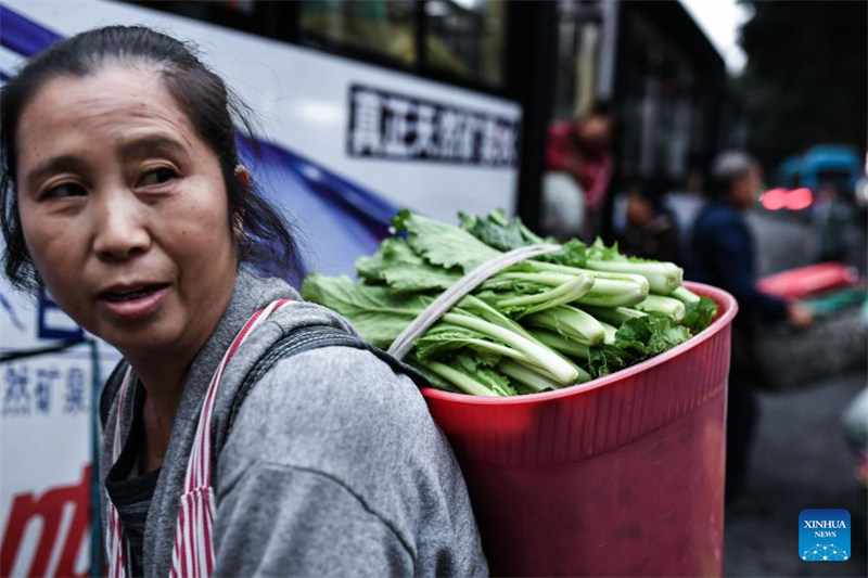 Laini maalum ya basi yasaidia wanakijiji kuuza bidhaa za kilimo mkoani Guizhou, China