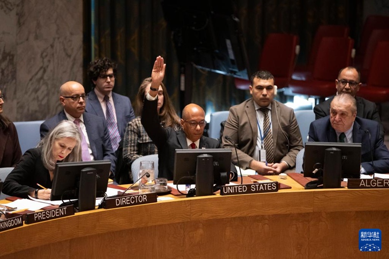 Naibu Mwakilishi wa Mambo Maalumu ya Kisiasa wa Marekani kwenye Umoja wa Mataifa Robert Wood (katikati, mbele) akipiga kura ya turufu  juu ya mswada wa azimio la Baraza la Usalama  la kusimamisha vita mara moja huko Gaza kwenye makao mkuu wa Umoja wa Mataifa huko New York, Novemba 20, 2024. (Xinhua/Xie E)