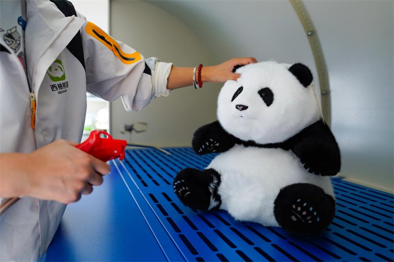Midoli ya kibunifu ya China ya mnyama panda?yapata umaarufu kote duniani