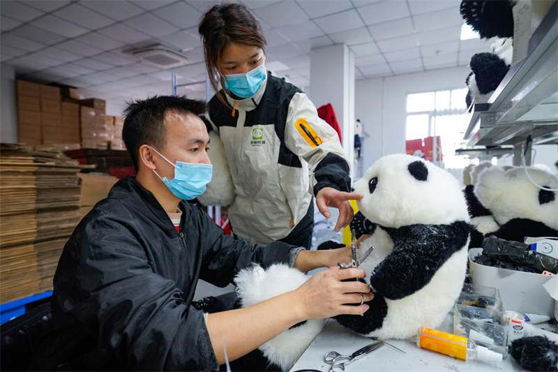 Midoli ya kibunifu ya China ya mnyama panda?yapata umaarufu kote duniani