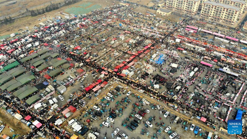 Gulio la kijadi?mjini?Qingdao lavutia watembeleaji wengi kabla ya Mwaka Mpya wa Jadi wa China
