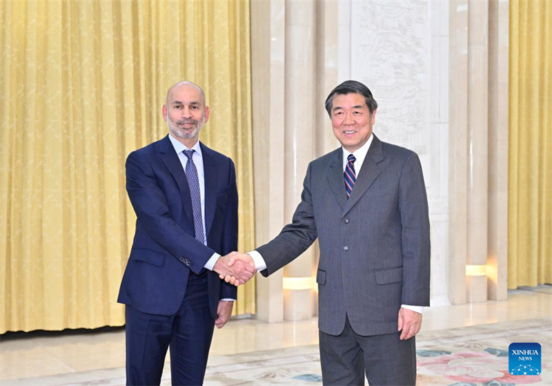 Naibu Waziri Mkuu wa China He Lifeng, ambaye pia ni Mjumbe wa Ofisi ya Siasa ya Kamati Kuu ya Chama cha Kikomunisti cha China, akikutana na Majed Al Romaithi, mwenyekiti wa Kamati ya Usimamizi ya Mamlaka ya Uwekezaji ya Abu Dhabi (ADIA) ya Umoja wa Falme za Kiarabu, mjini Beijing, mji mkuu wa China, Mei 7, 2025. (Xinhua/Yue Yuewei)
