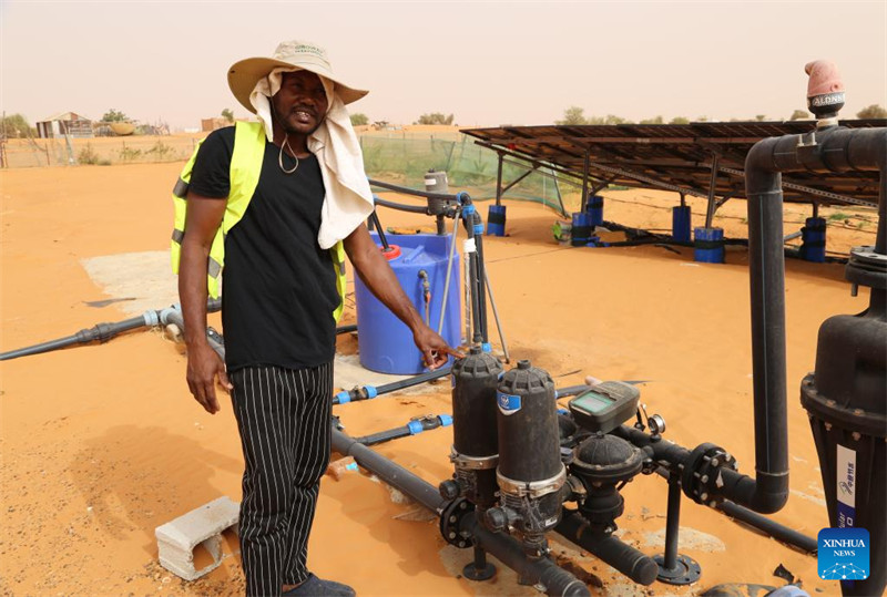 Uzoefu?wa China katika?kudhibiti jangwa?wasaidia??maendeleo ya?kijani?ya Mauritania