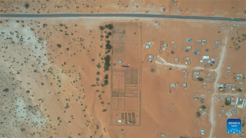 Uzoefu?wa China katika?kudhibiti jangwa?wasaidia??maendeleo ya?kijani?ya Mauritania