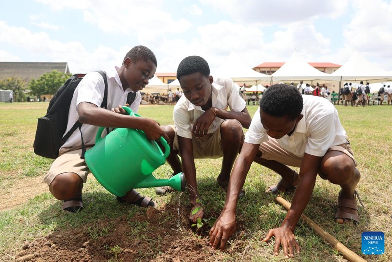 Wanafunzi wakimwagilia mmea kwenye shule mjini Accra, Ghana, Juni 5, 2025. (Picha na Seth/Xinhua)