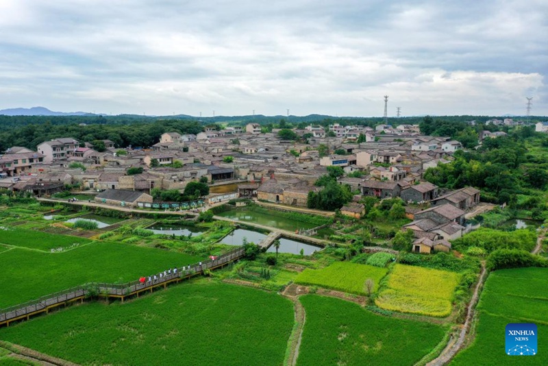 Picha iliyopigwa Julai 9, 2025 ikionyesha mandhari ya Kijiji cha Zhuqiao katika Wilaya ya Jinxi ya Mji wa Fuzhou, Mkoa wa Jiangxi, mashariki mwa China. (Xinhua/Liu Jinhai)