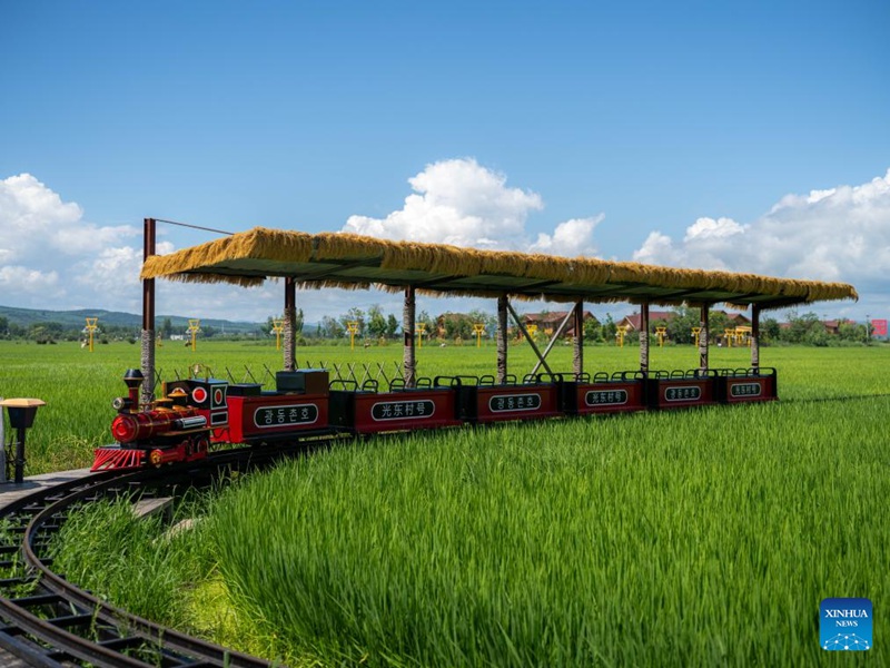 Picha hii iliyopigwa tarehe 18 Julai 2025 ikionyesha treni ya utalii wa kutazama mandhari katika Kijiji cha Guangdong  katika Mkoa wa Jilin, kaskazini mashariki mwa China. (Xinhua/Shao Zedong) 