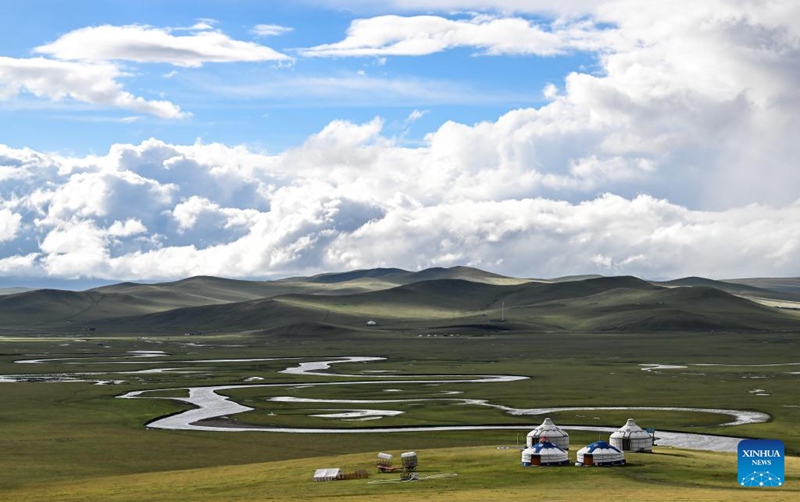 Malisho ya Chenbarhu Banner ya Mongolia ya Ndani, China ?yaingia majira ya mchipuko