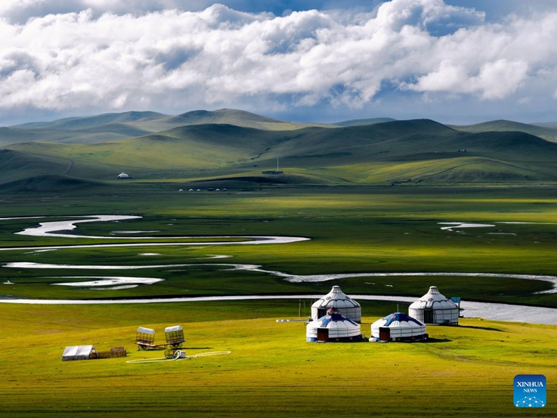 Malisho ya Chenbarhu Banner ya Mongolia ya Ndani, China ?yaingia majira ya mchipuko
